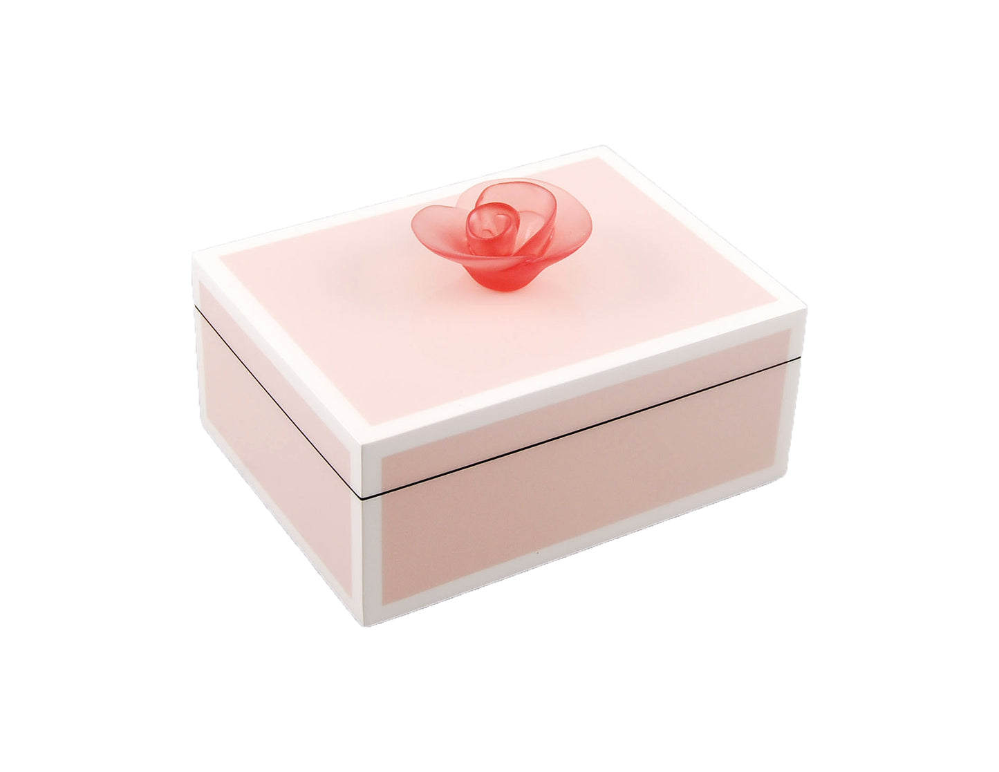 Paris Pink with White - Medium Handle Box - L-21FSPPWPF