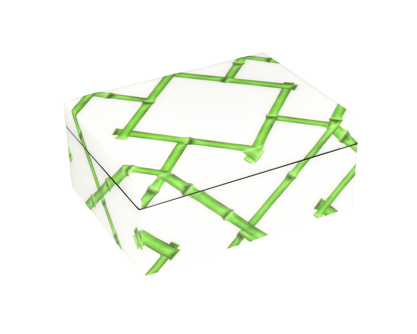 Green Bamboo - Medium Box