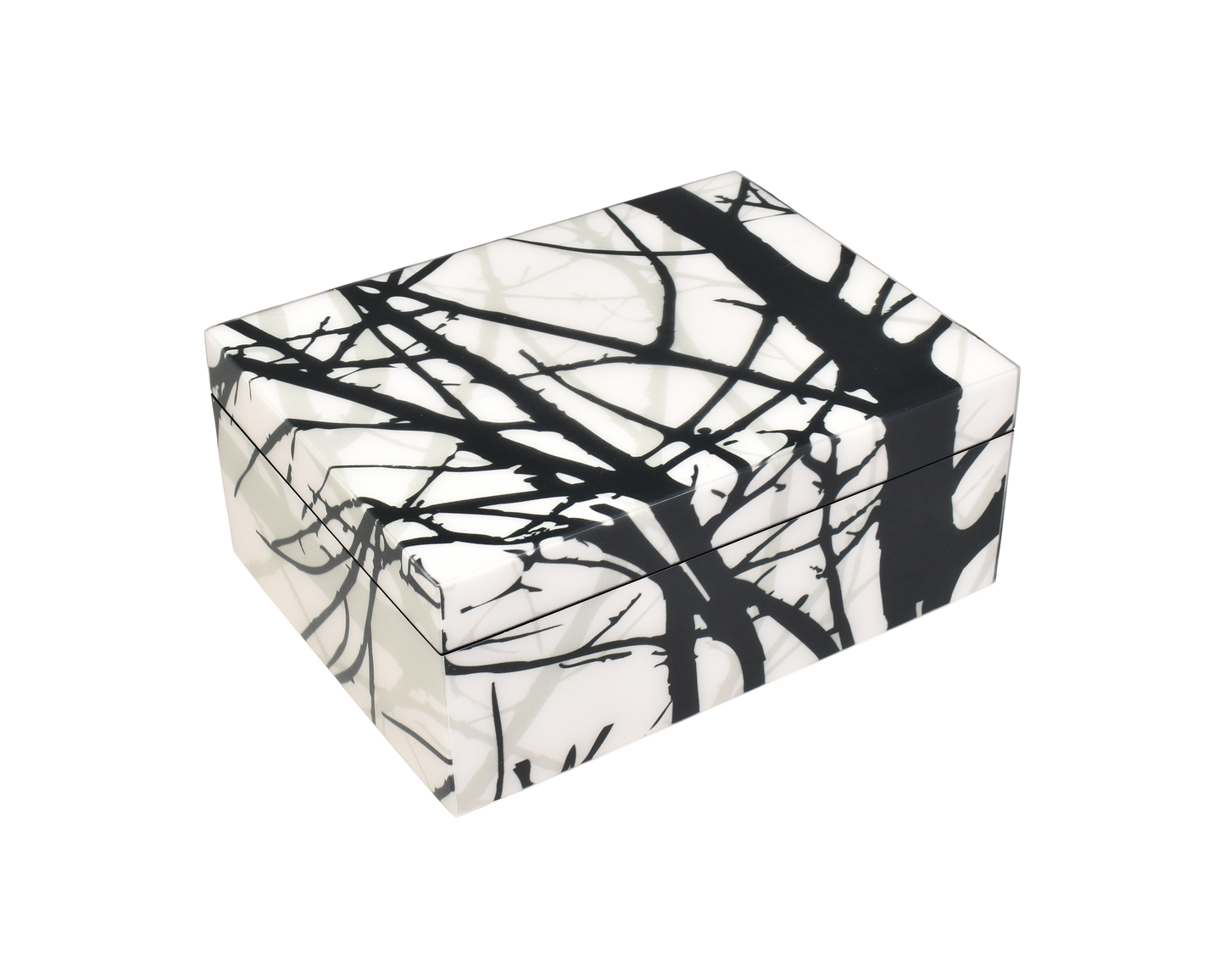 Naked Trees - Medium Box