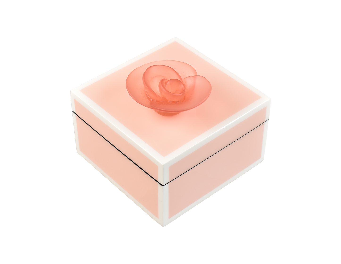 Paris Pink with White - Square Handle Box - L-31FSPPWPF
