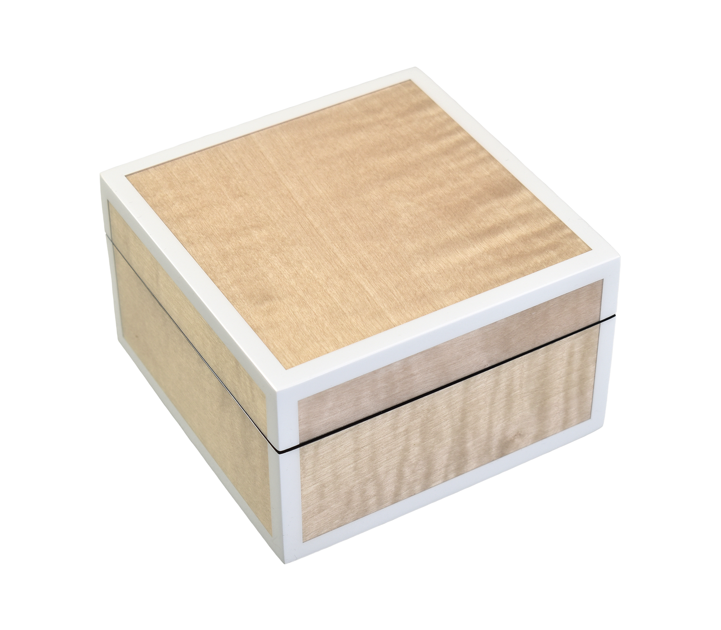 Sycamore with Silver Dollar - Square Box