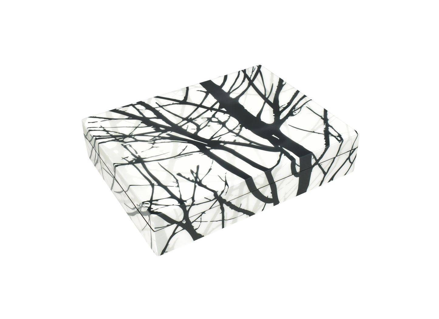 Naked Trees - Stationery Box