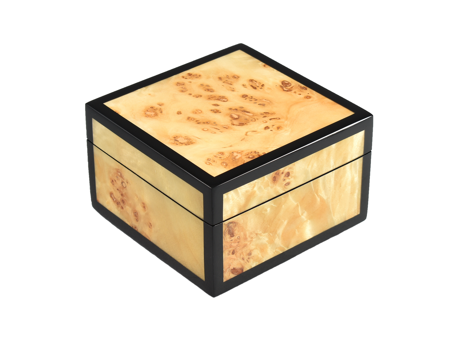 Mappa Burl - Square Box