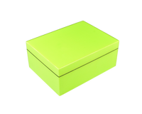 Acid Green - L-21AG - Medium Box