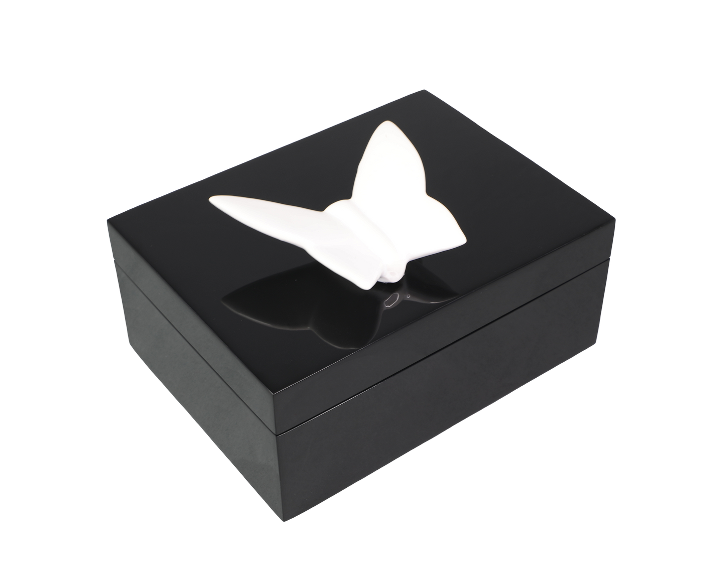 Handle Box: L-21BWBFL