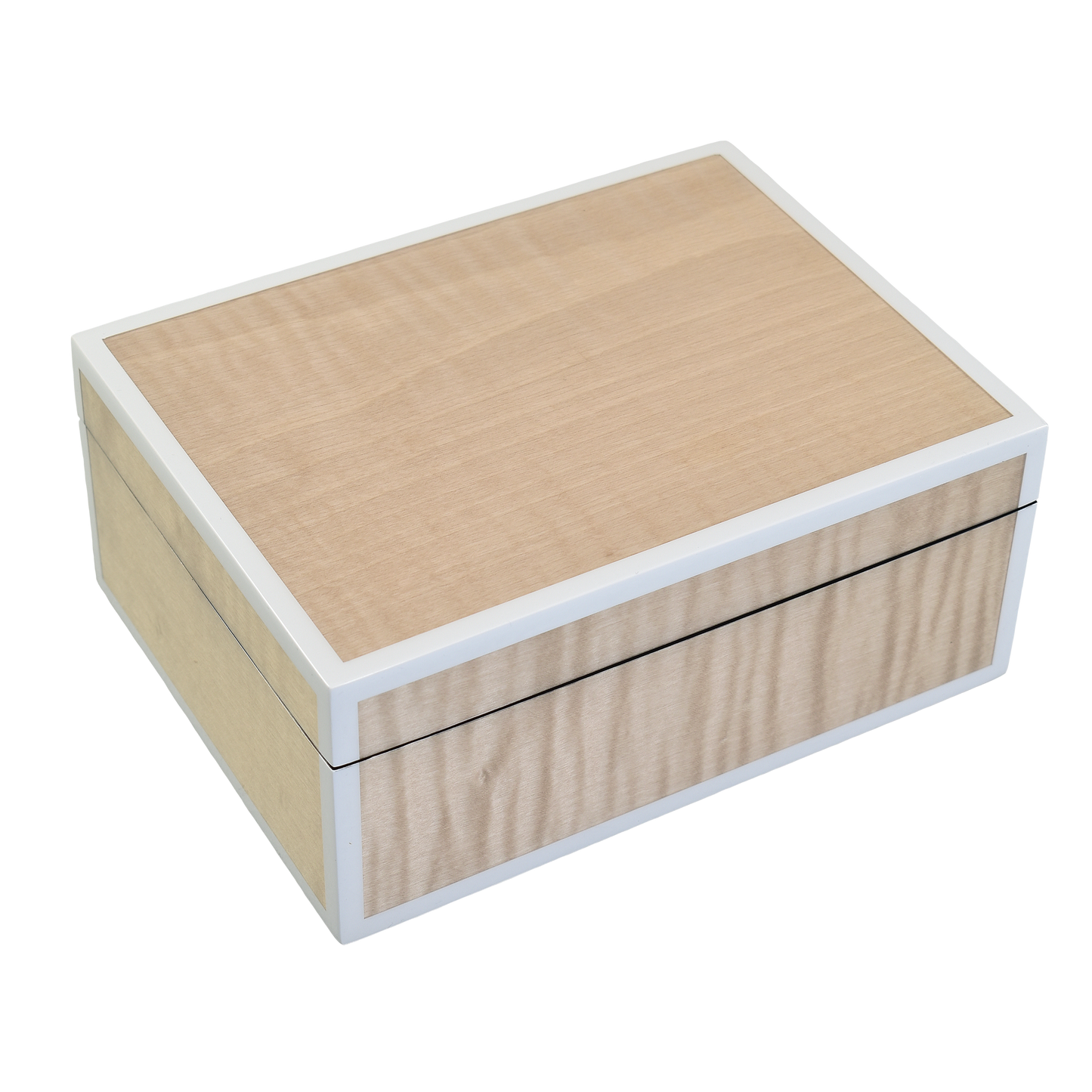 Sycamore with Silver Dollar - Medium Box