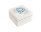 All White - Square Handle Box