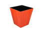 Red Tulipwood - Wastebasket